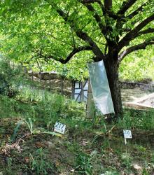 The 127th grave! by Sheikh Saaliq