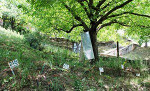 The 127th Grave by Sheikh Saaliq