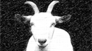 Scape-Goat | Indraganti Narasimha Murthy